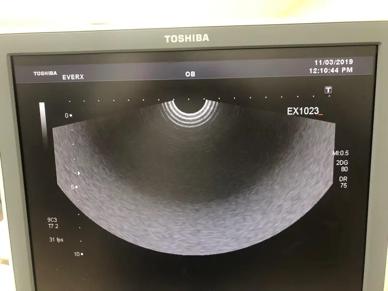 2007 Toshiba Xario XG, photo 2