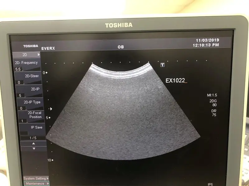2007 Toshiba Xario XG, photo 3