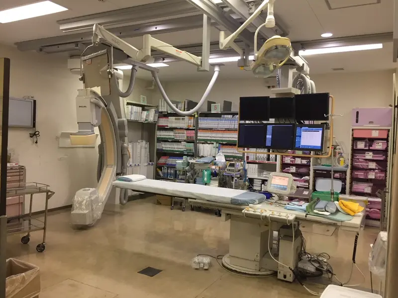 2006 Philips FD10, photo 1
