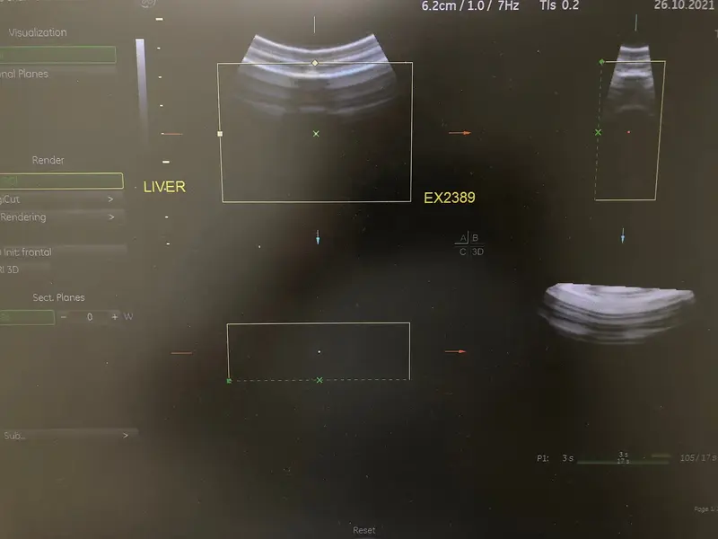 GE RAB4-8-RS, photo 2