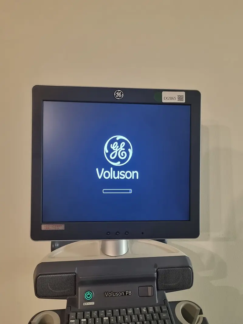 2015 GE Voluson P8, photo 2