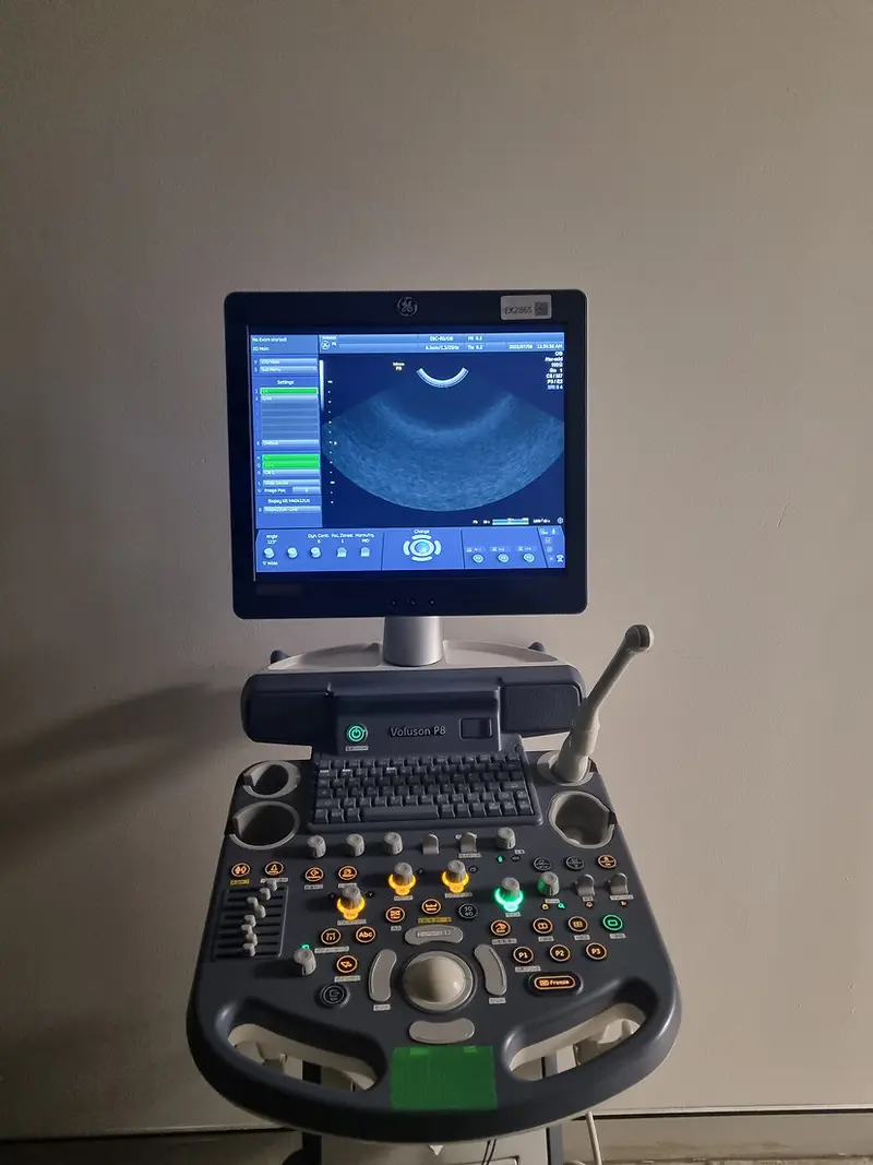 2015 GE Voluson P8, photo 4