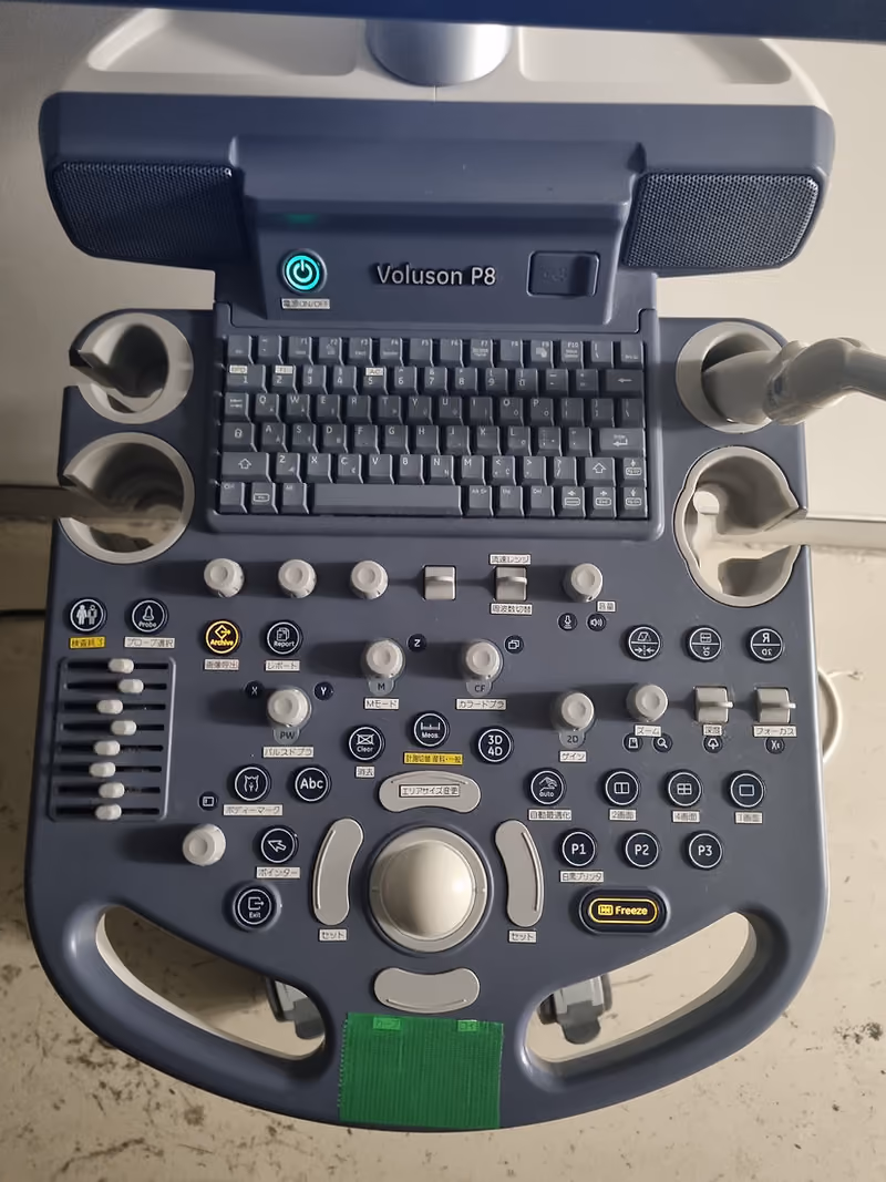 2015 GE Voluson P8, photo 7