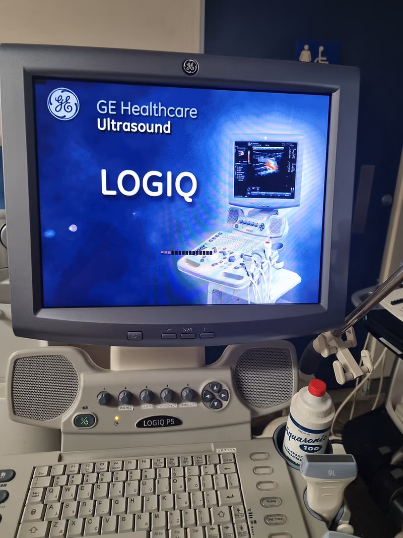 2012 GE Logiq P5, photo 10
