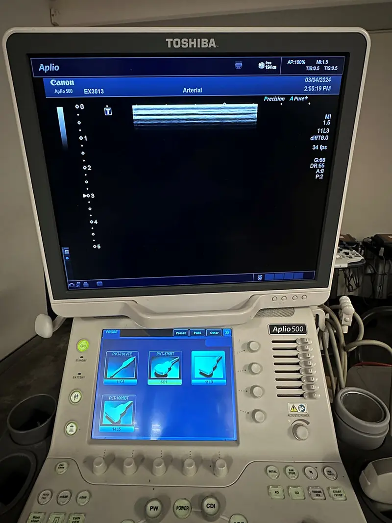 2015 Toshiba Aplio 500, photo 4