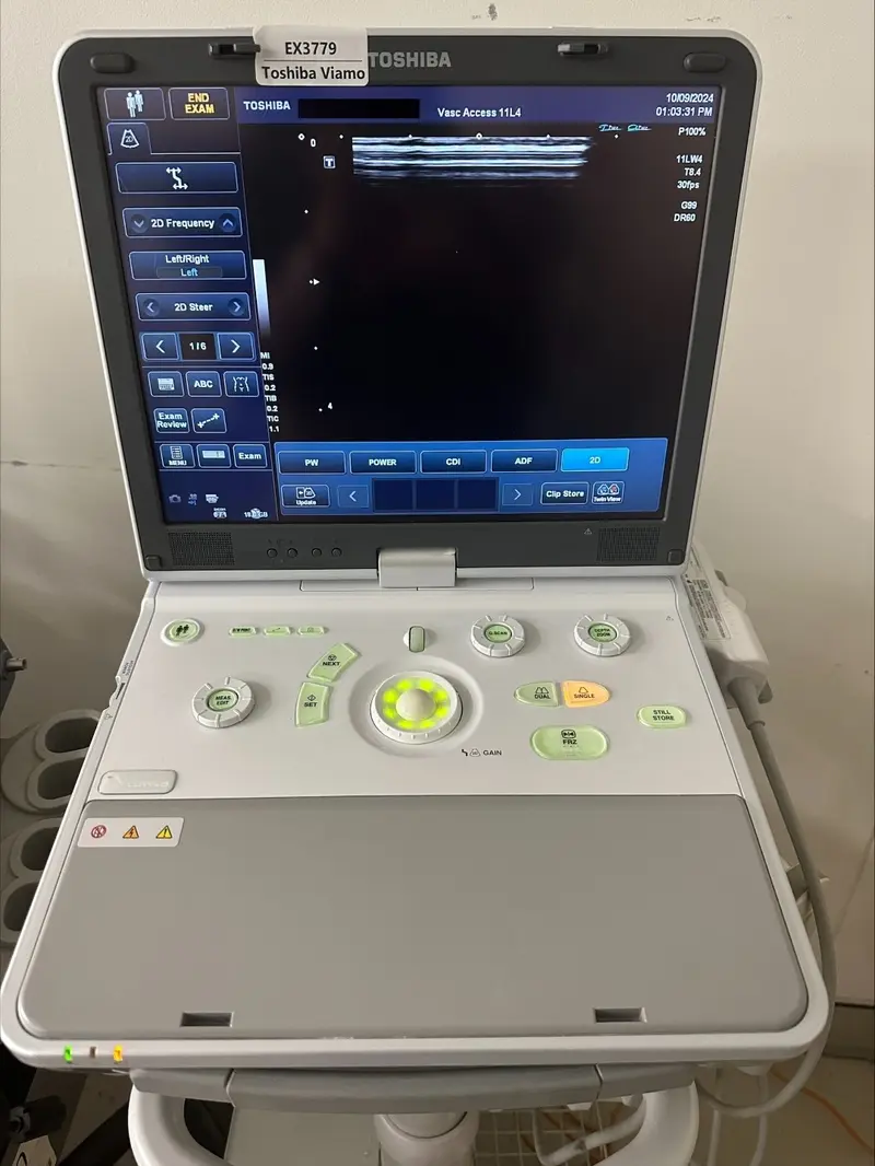 2013 Toshiba Viamo, photo 3