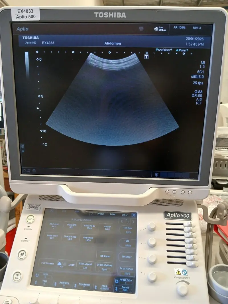 2015 Toshiba Aplio 500, photo 3