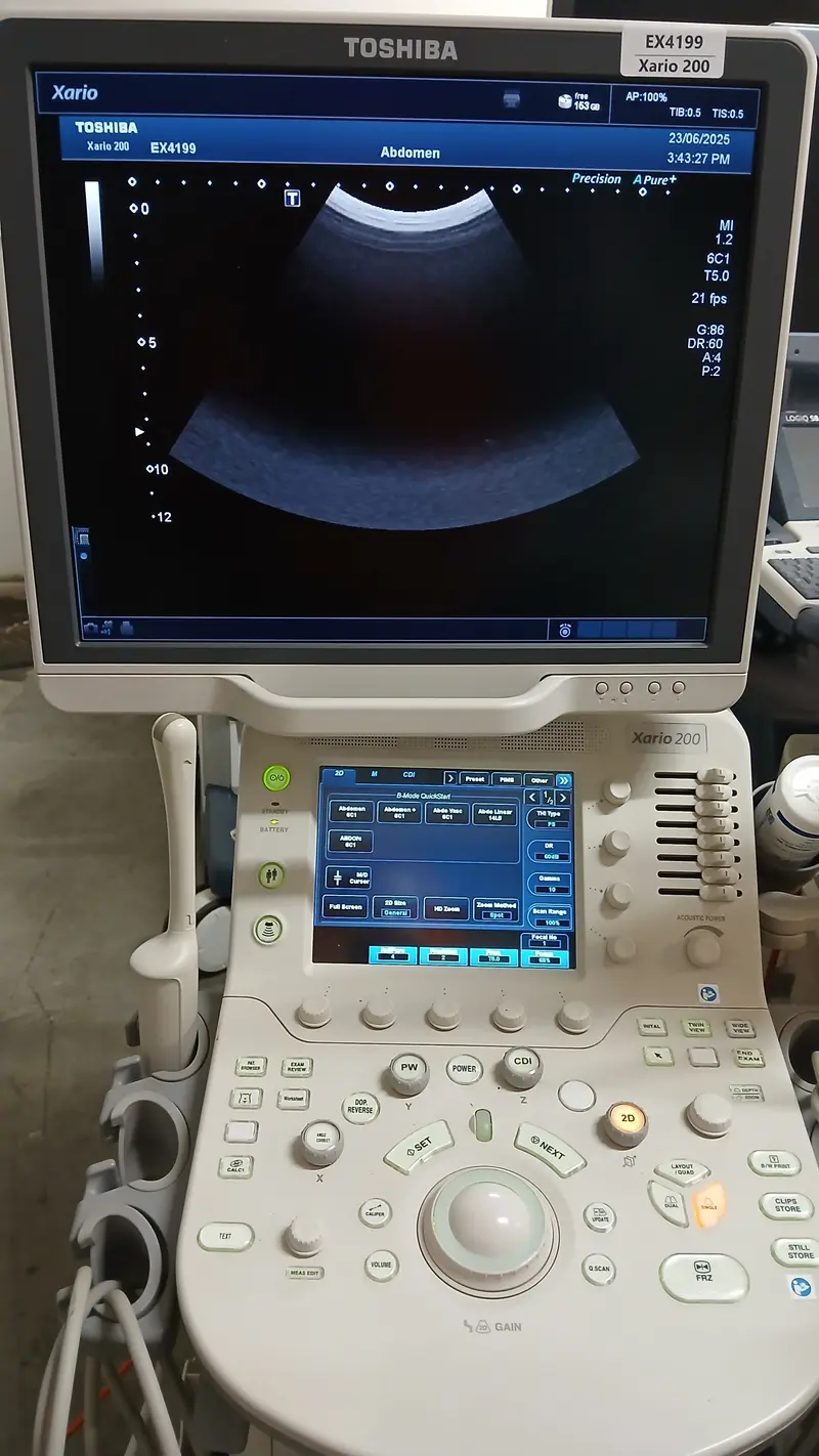 2015 Toshiba Xario 200, photo 3