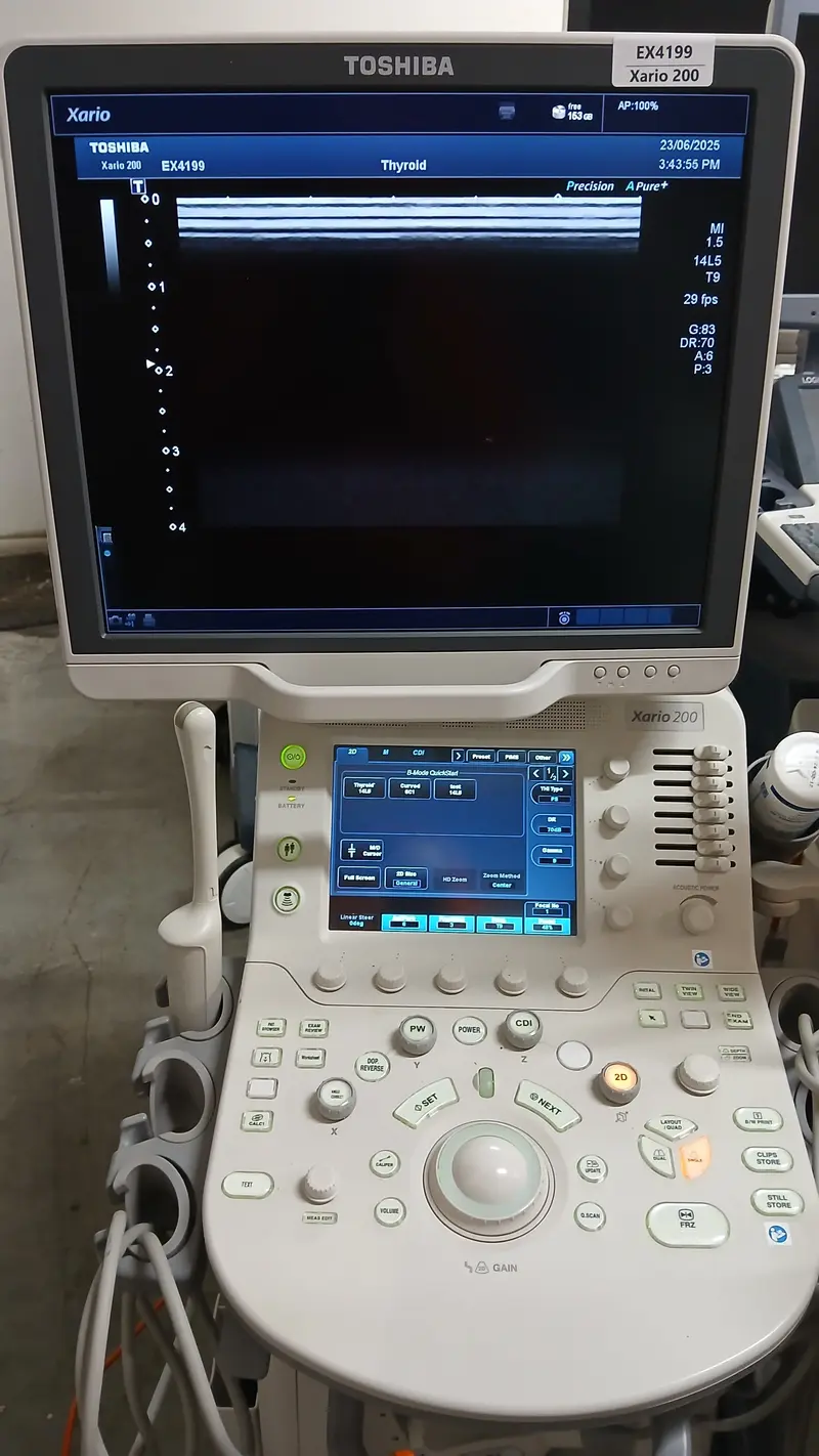 2015 Toshiba Xario 200, photo 4