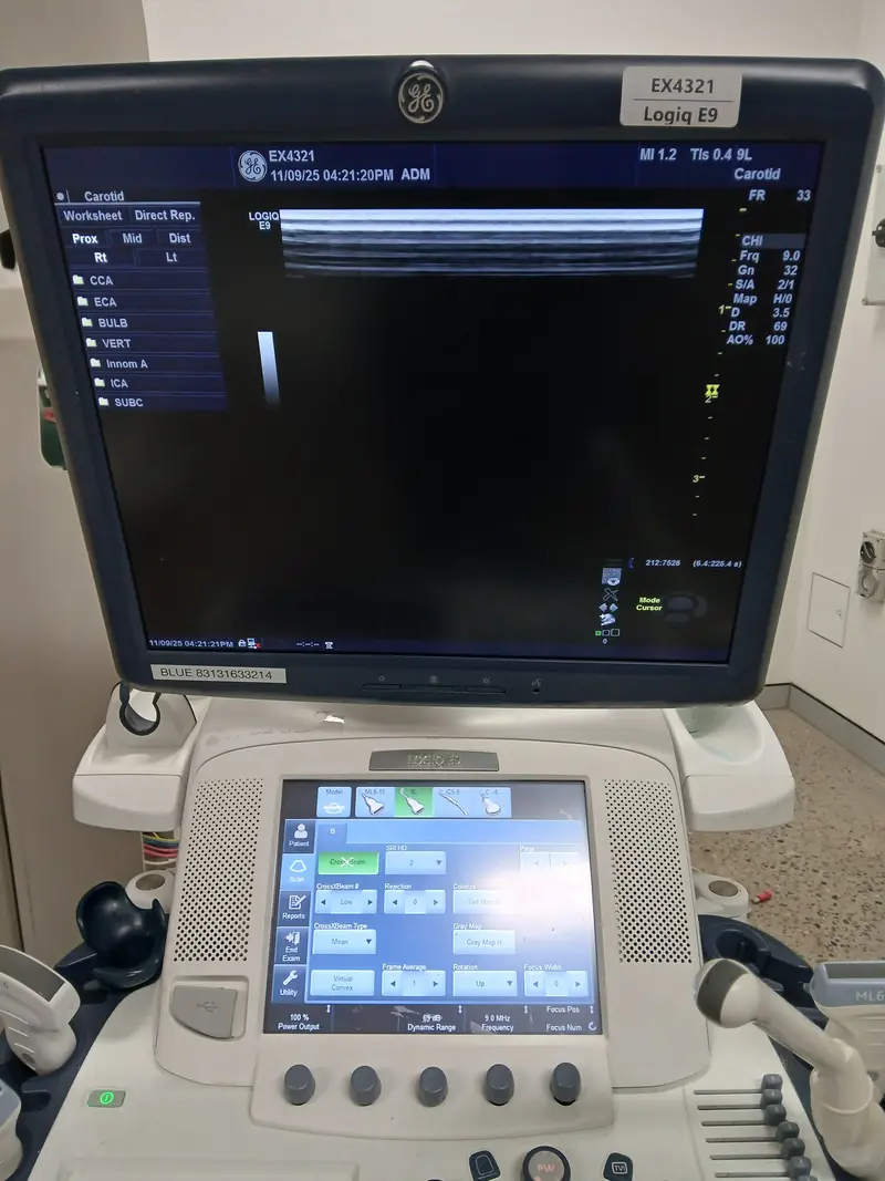2015 GE Logiq E9, photo 3