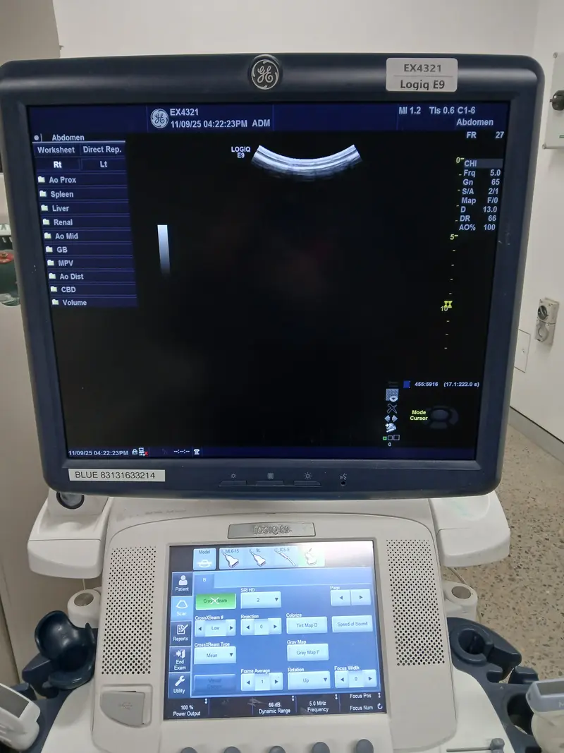 2015 GE Logiq E9, photo 4