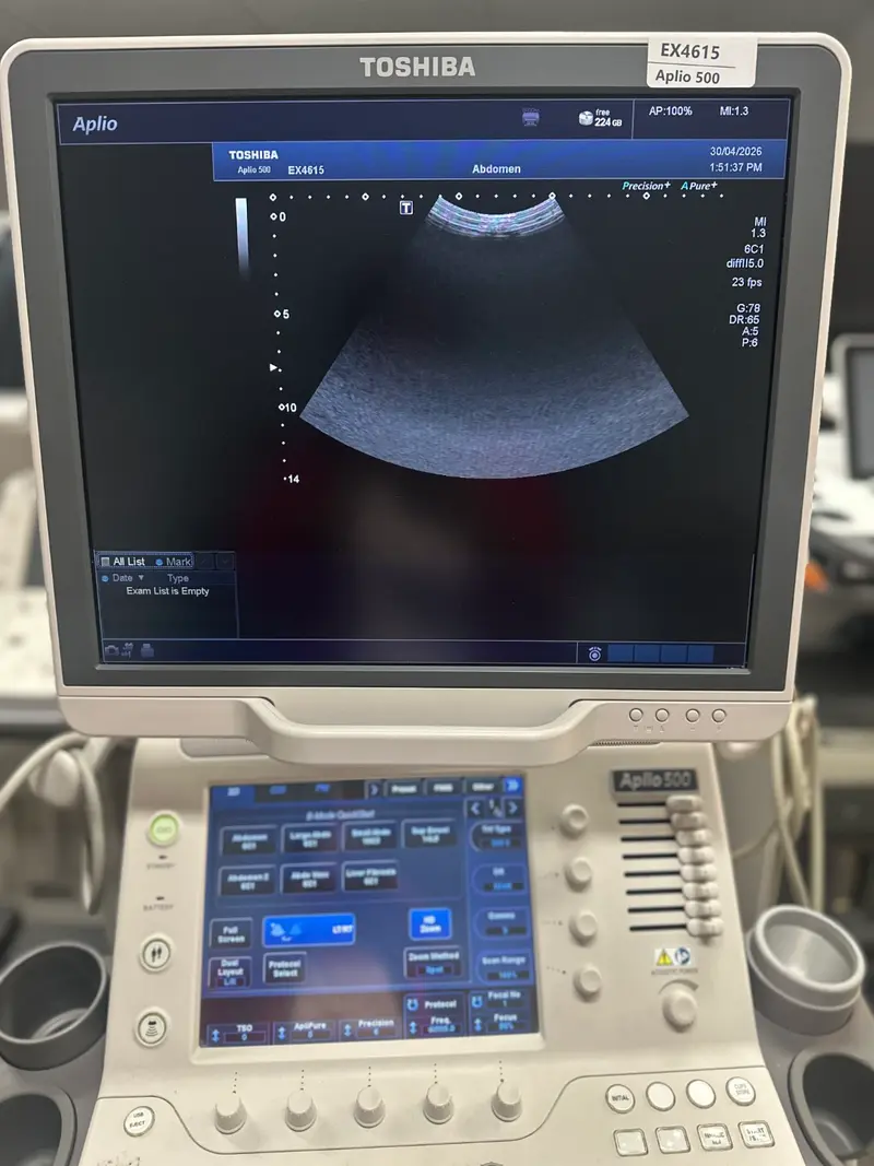 2016 Toshiba Aplio 500, photo 3