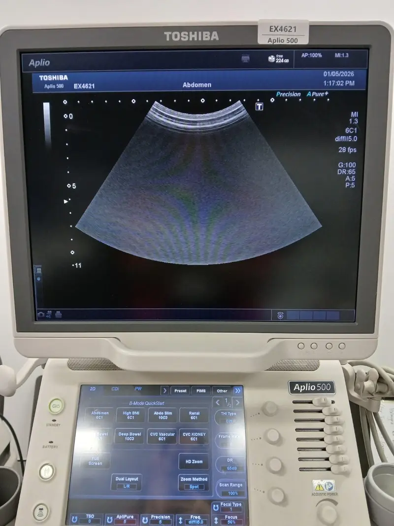 2015 Toshiba Aplio 500, photo 3