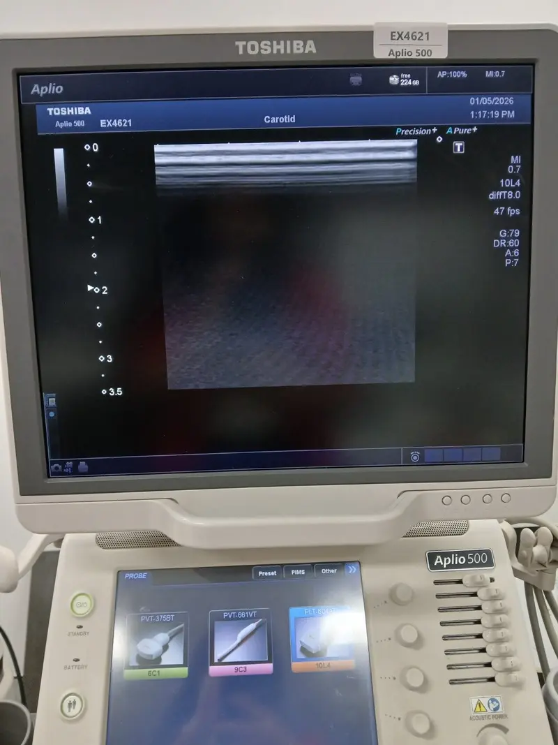 2015 Toshiba Aplio 500, photo 4