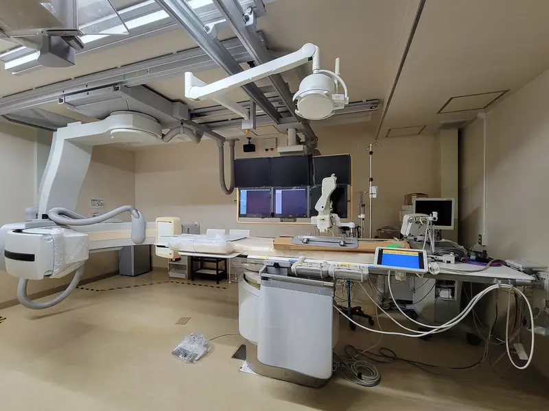2011 Philips FD20, photo 2