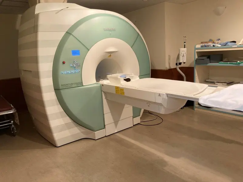 2009 Siemens Essenza 1.5T, photo 1
