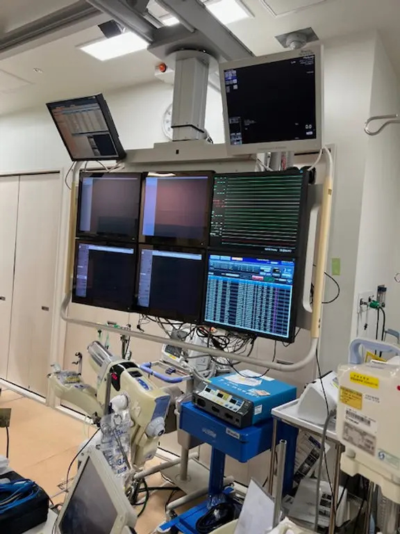 2009 Philips Allura Xper FD10/10, photo 2