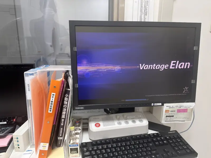 Toshiba Vantage Elan 1.5T, photo 4
